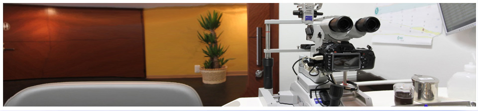 メインイメージ